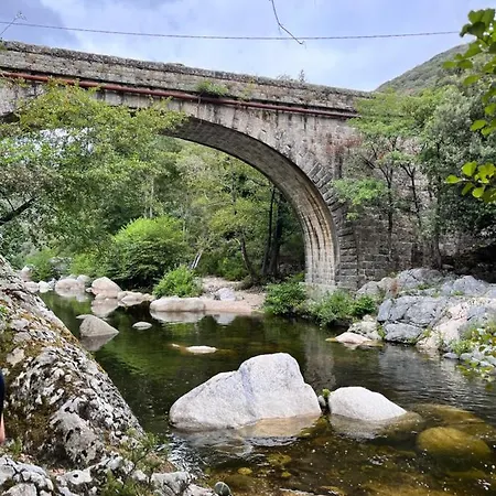 Tradition Corse & Modernite I Caseddi Di Barabe A Cantina *