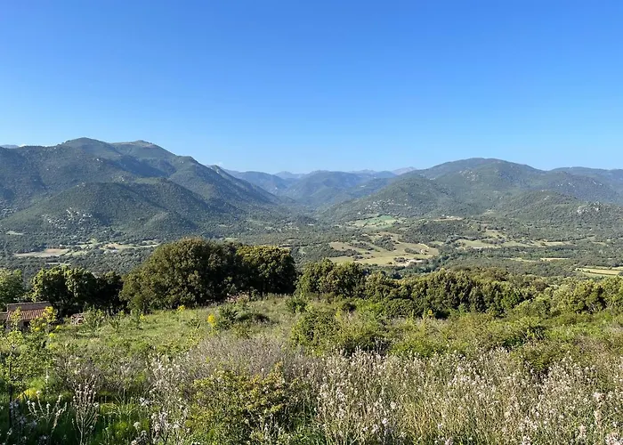 Tradition Corse & Modernite I Caseddi Di Barabe A Cantina Granace