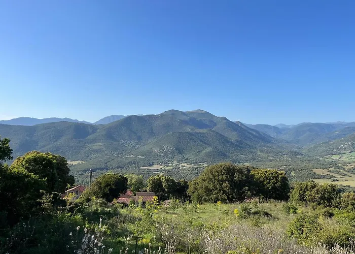 Daire Tradition Corse & Modernite I Caseddi Di Barabe A Cantina