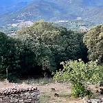Daire Tradition Corse & Modernite I Caseddi Di Barabe A Cantina