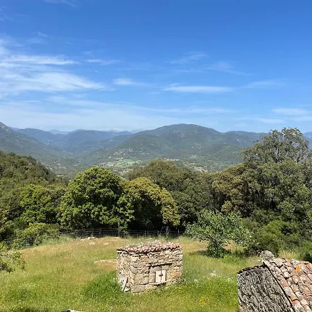 Tradition Corse & Modernite I Caseddi Di Barabe A Cantina * Granace