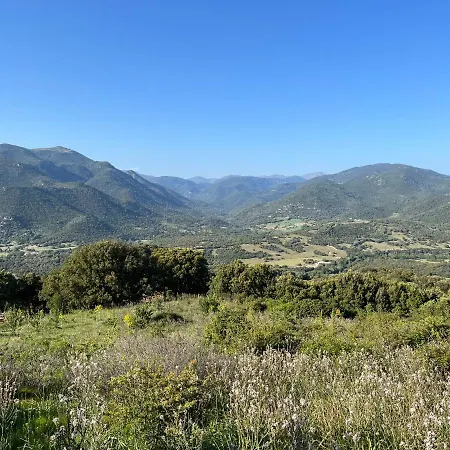 Tradition Corse & Modernite I Caseddi Di Barabe A Cantina Granace