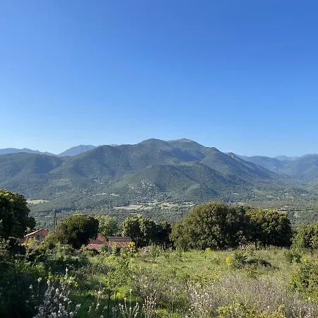 Lägenhet Tradition Corse & Modernite I Caseddi Di Barabe A Cantina