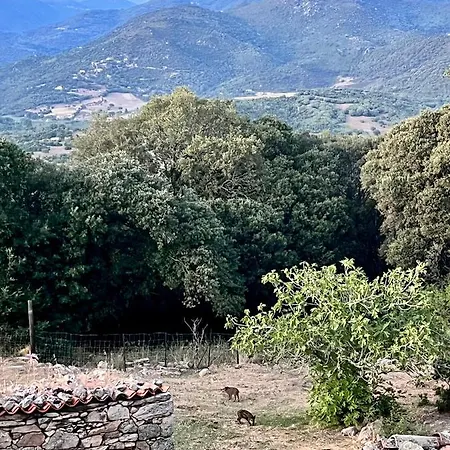 Lägenhet Tradition Corse & Modernite I Caseddi Di Barabe A Cantina