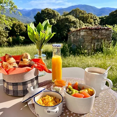 Apartament Tradition Corse & Modernite I Caseddi Di Barabe A Cantina *