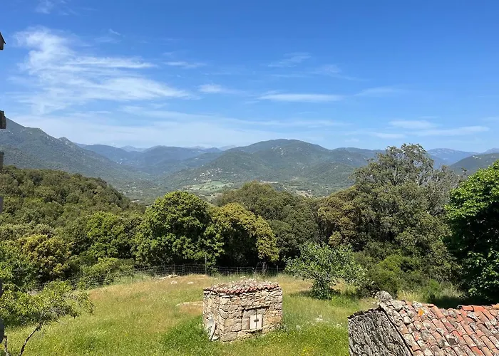 Tradition Corse & Modernite I Caseddi Di Barabe A Cantina * Granace