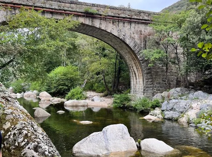 Tradition Corse & Modernite I Caseddi Di Barabe A Cantina *