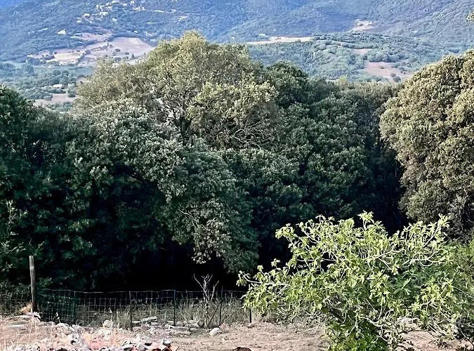 Apartament Tradition Corse & Modernite I Caseddi Di Barabe A Cantina