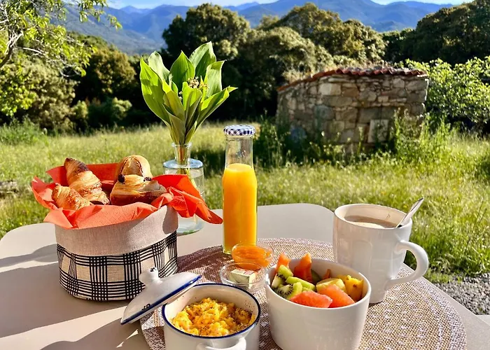 Apartament Tradition Corse & Modernite I Caseddi Di Barabe A Cantina *